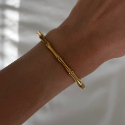 Alternative view of Palm Springs Bangle