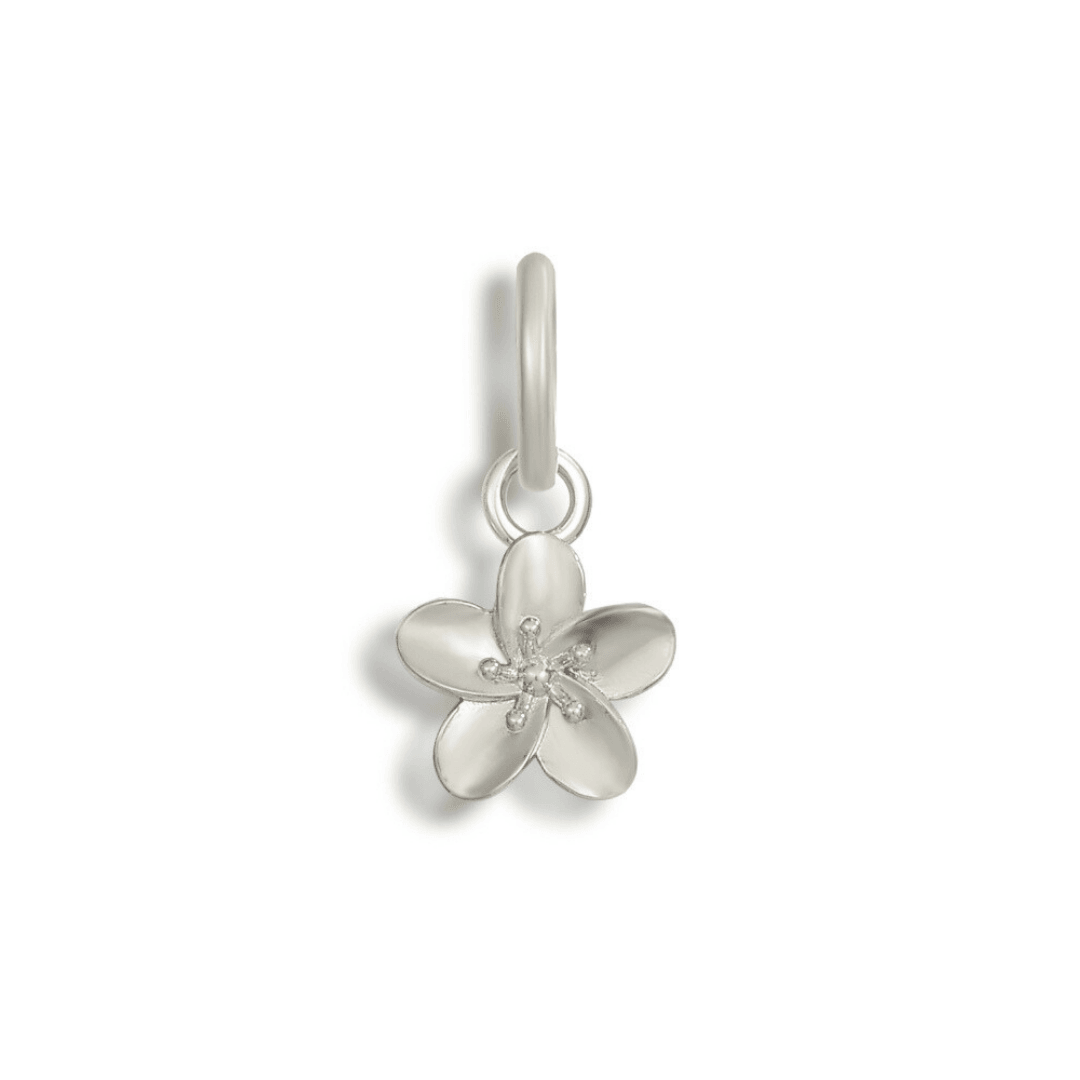 Shoe Charms - Image 62