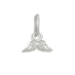 Alternative view of Fly Away Charm